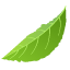 leaf-2
