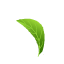 leaf-4